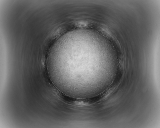 X0000086790561200704271832