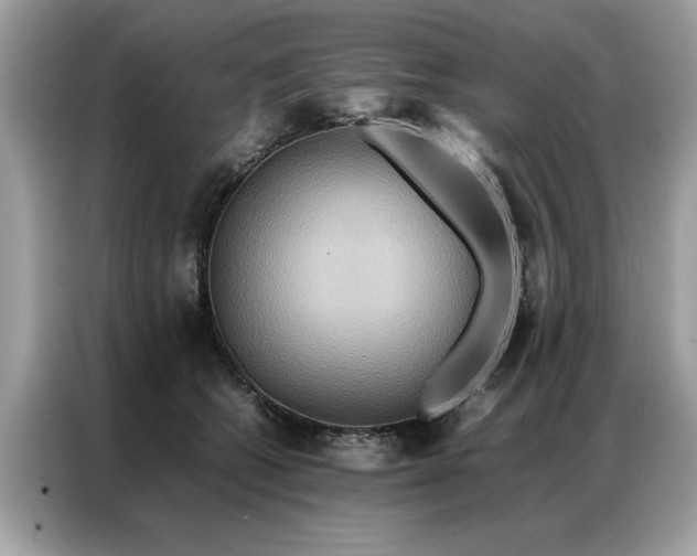 X0000086790562200704271832