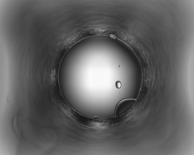 X0000086790563200704271832