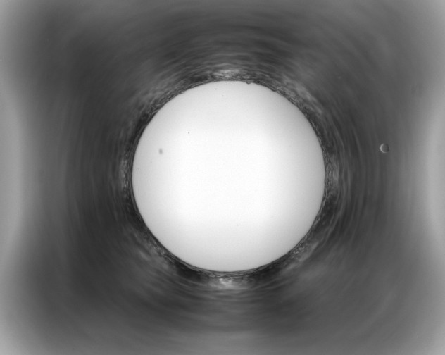 X0000086790565200704271832