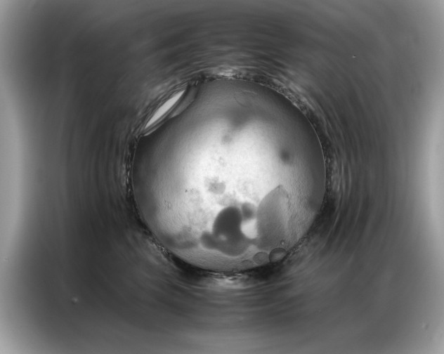 X0000086790569200704271832