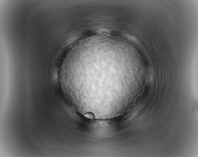 X0000086790573200704271833