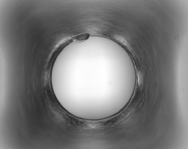 X0000086790579200704271832