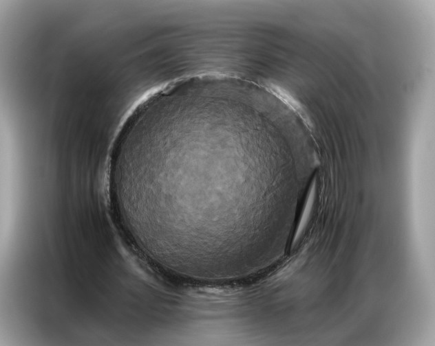 X0000086790580200704271832