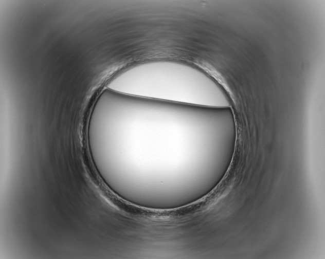 X0000086790581200704271832