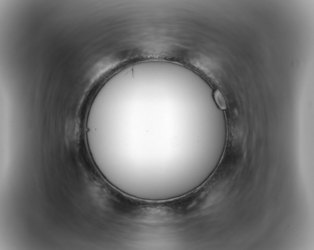 X0000086790583200704271832