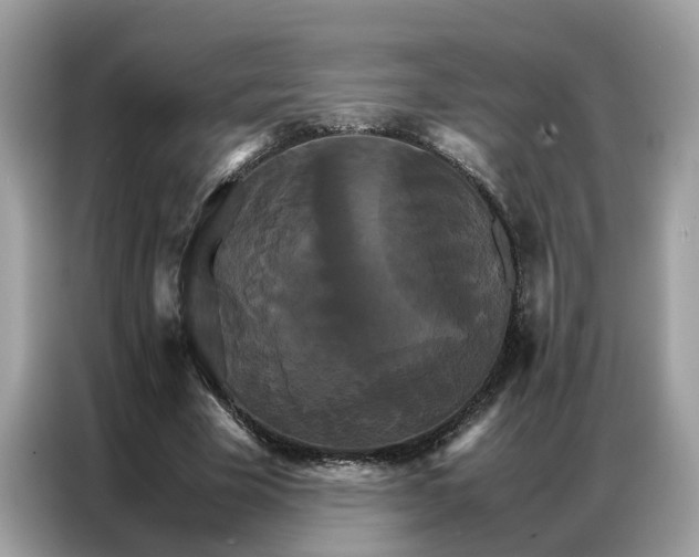 X0000086790585200704271832