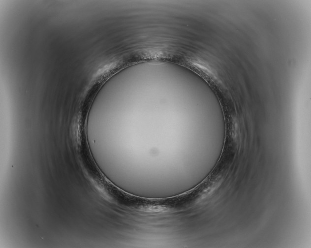 X0000086790590200704271832