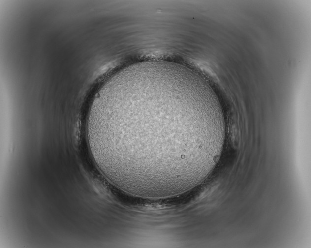 X0000086790591200704271832