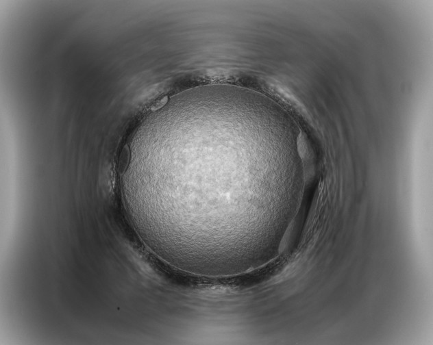 X0000086790593200704271832