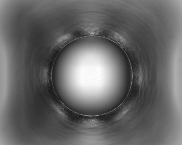 X0000086790594200704271832