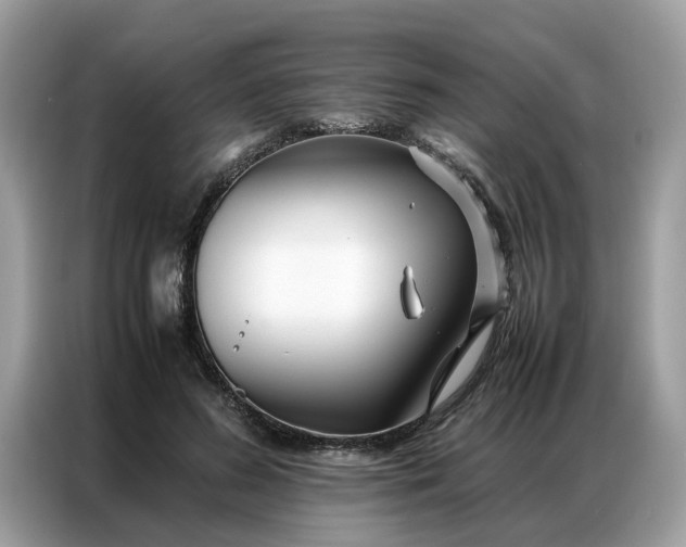 X0000086790596200704271832