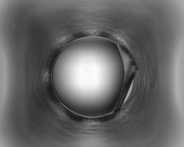 X0000086790597200704271832