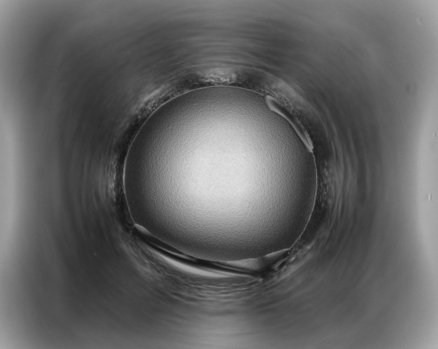 X0000086790600200704271832