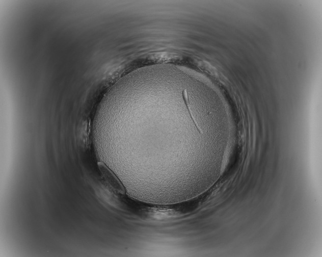 X0000086790605200704271832