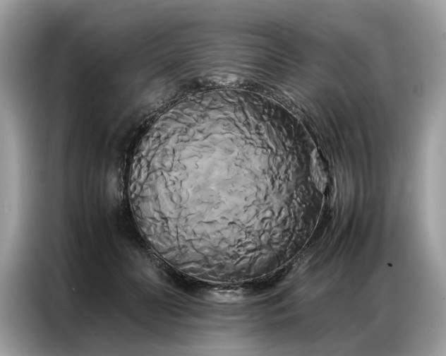 X0000086790606200704271832