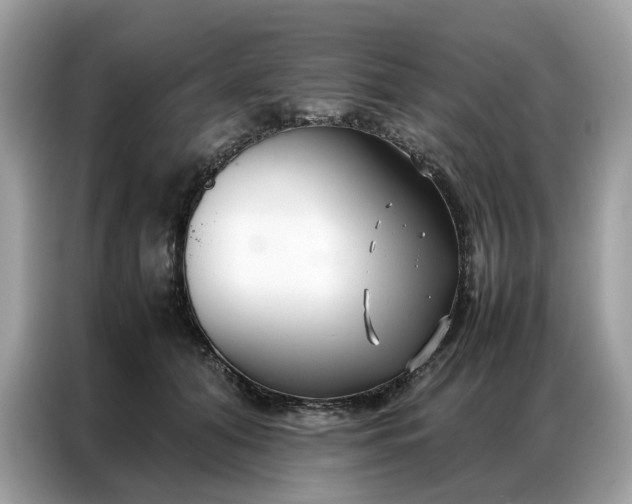 X0000086790608200704271832