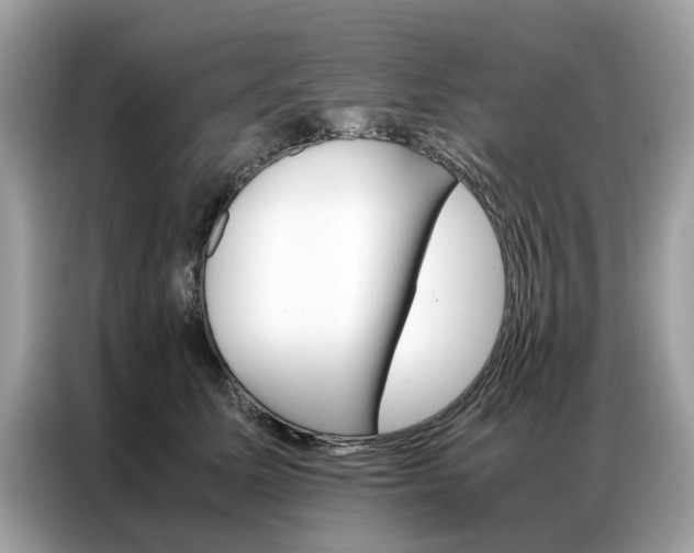 X0000086790611200704271831