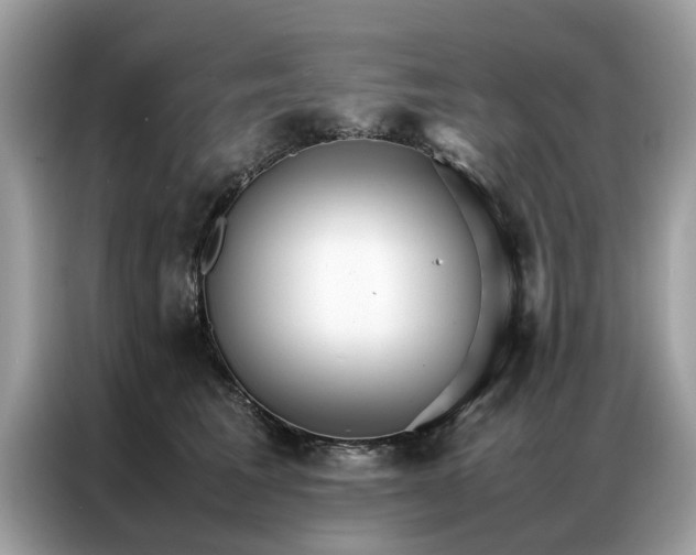 X0000086790613200704271831