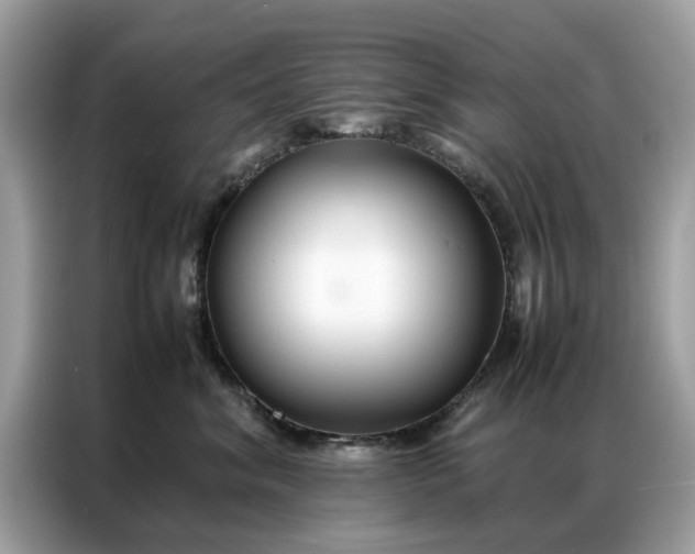 X0000086790620200704271831