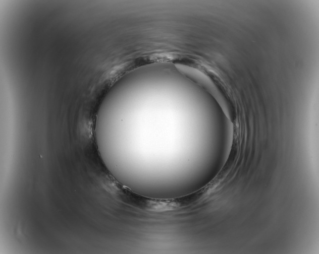 X0000086790621200704271831