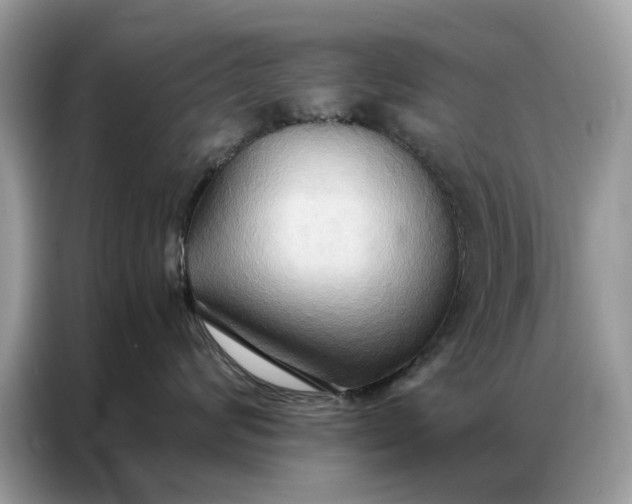 X0000086790624200704271831