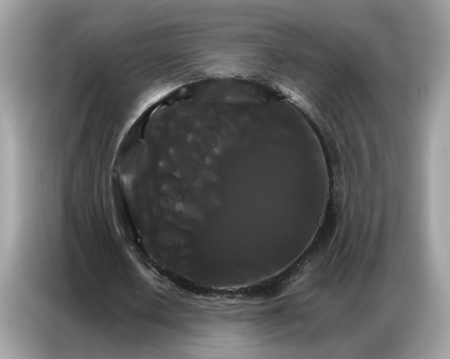 X0000086790626200704271831