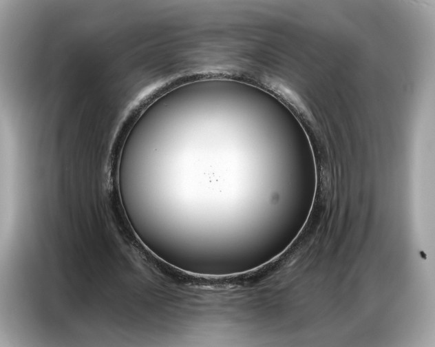 X0000086790628200704271831