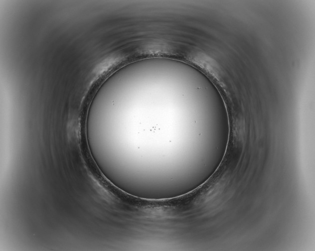 X0000086790629200704271831