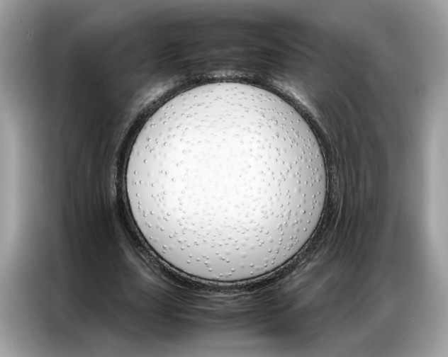 X0000086790631200704271831