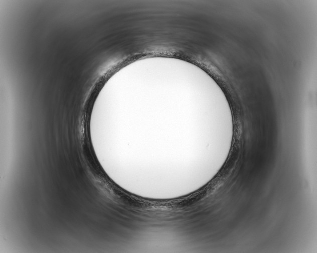 X0000086790632200704271831