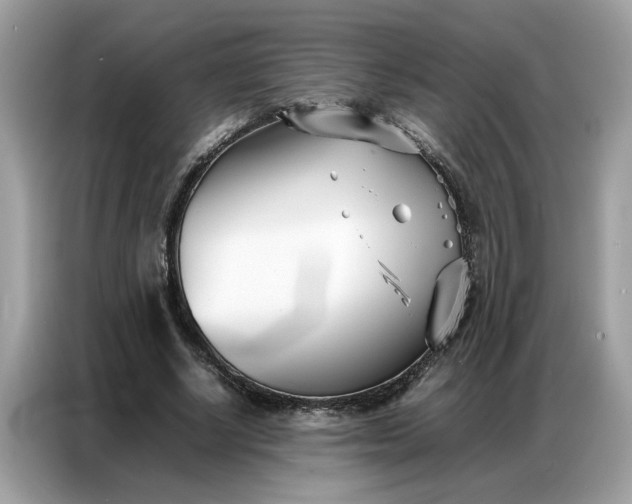 X0000086790634200704271831