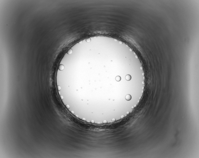 X0000086790635200704271831