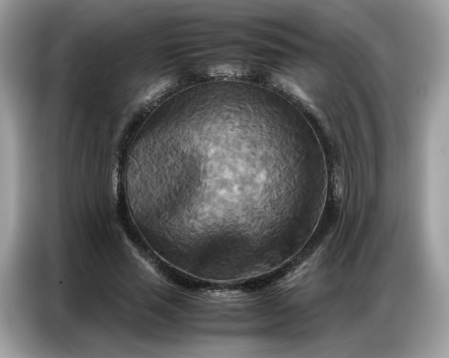 X0000086790637200704271831