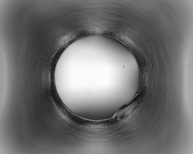 X0000086790638200704271831