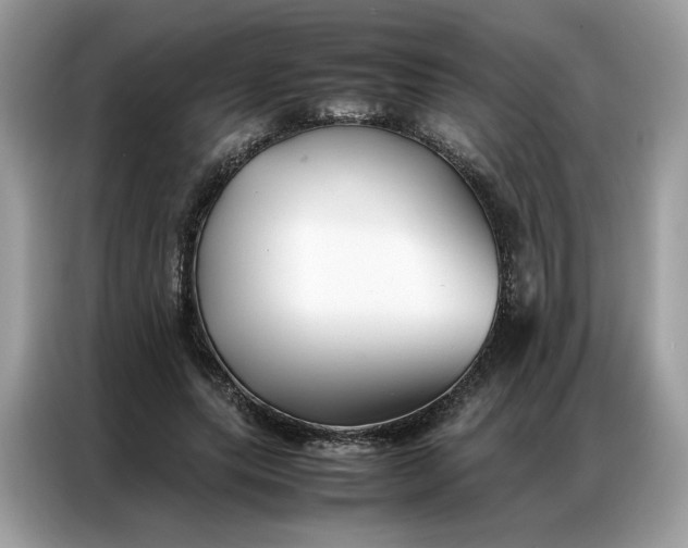 X0000086790639200704271831