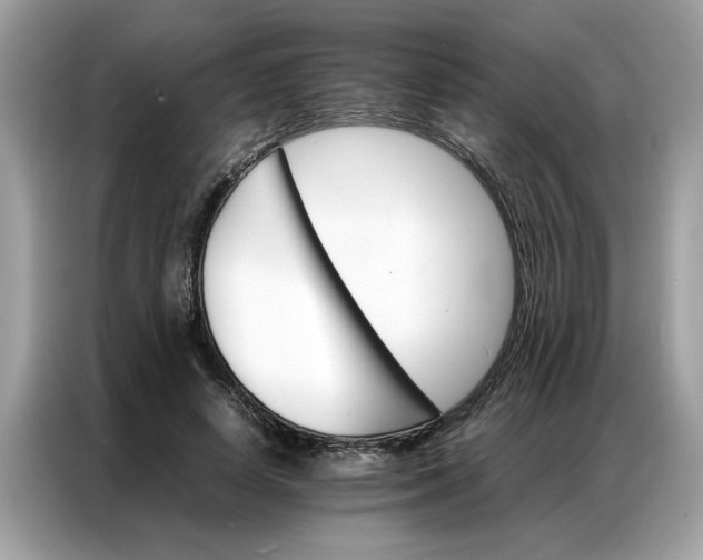 X0000086790642200704271831