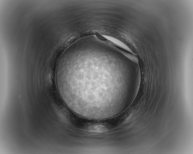 X0000086790643200704271831