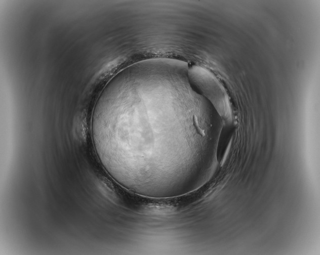 X0000086790644200704271831