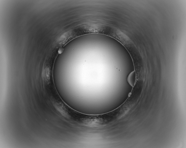 X0000086790646200704271831