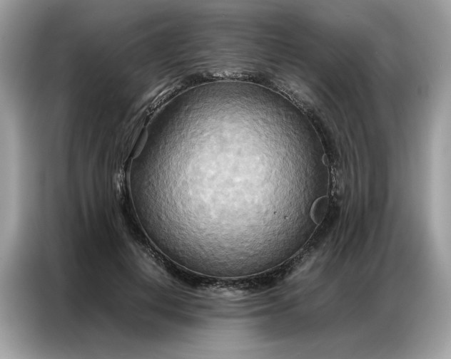 X0000086790648200704271831