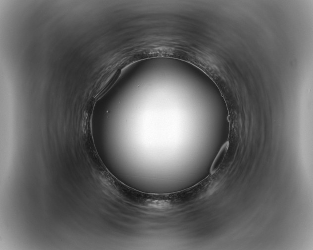 X0000086790649200704271831