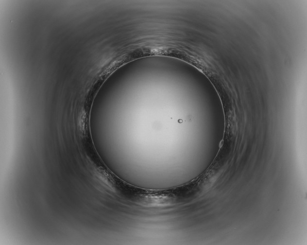 X0000086790650200704271831