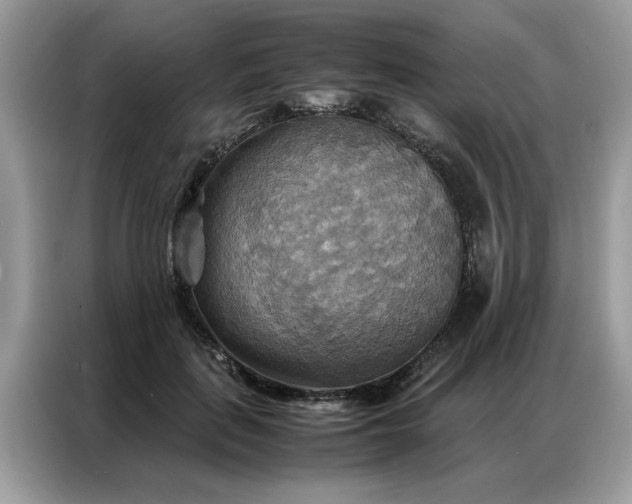 X0000086790651200704271831