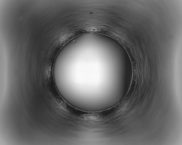 X0000086790652200704271831