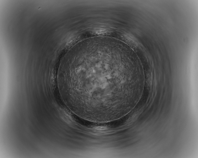 X0000086790653200704271831