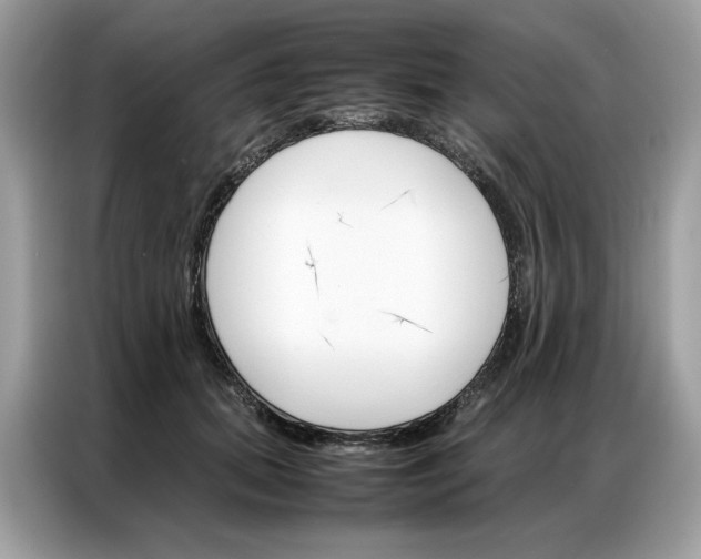 X0000086790655200704271831