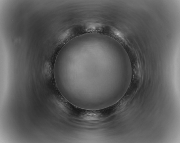 X0000086790659200704271831