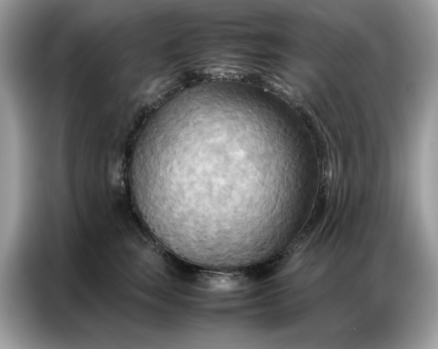 X0000086790663200704271831