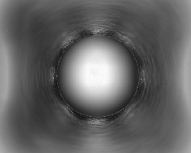 X0000086790664200704271831